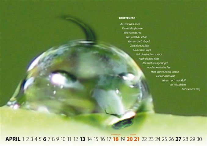 Kalender WeltenSpiel 2025 – April, Bild von Dieter Kiehle